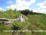 Wegemarkierung Sauerland-Höhenflug