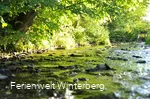 DSC_3996.JPG