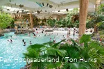 Einige Menschen baden im Erlebnisbad Aqua Mundo, das mit zahlreichen Palmen dekoriert ist, wodurch es wie ein Strand aussieht.