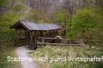 Naturerlebnis Wald Meerhof Brücke