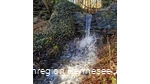 20241226_140818.jpg