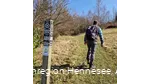 BestWeg Andreasberg Wiesenweg