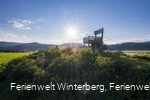 Ein Aussichtsturm in Form eines großen Holzstuhles auf einem bewaldeten Hügel vor blauem Himmel und Sonne inmitten von Wiesen und Wäldern.