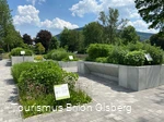 Kräutergarten