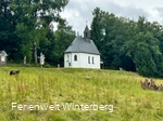 Kapelle oberhalb einer Wiese mit Schafen, umgeben von Bäumen.
