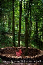 Dichterlichtung