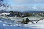 Wildewiese im Winter_Christiane Schmidt
