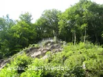 Werdohl_Kletterfelsen (12).jpg
