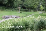 Rosenkranz Assinghausen