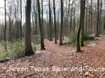 Naturbelassener Pfad