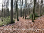 Naturbelassener Pfad