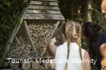 Es gibt viel zu entdecken bei den Familien-Wanderwegen in Medebach