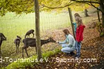 Mutter und zwei Kinder beobachten Wild hinter einem Zaun. Mutter füttert ein Reh.