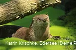 WildtierPark Edersee