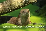 WildtierPark Edersee