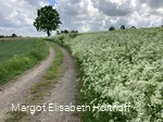 d in Richtung Sendschotten.jpg