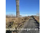 Lörmecketurm im Januar 