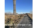 Lörmecketurm im Januar 
