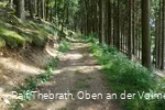 Auf dem kurzen Rundwanderweg müssen auch einige Höhenmeter bewältigt werden