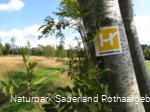 Wegezeichen Sauerland-Höhenflug bei Altastenberg