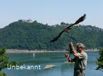 Flugschau der Greifenwarte