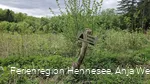 20250504_144849.jpg