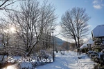 Voss sneeuw foto's 2017_126.jpg