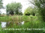 Naturschutz- & Naherholungsgebiet Muckenbruch