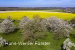 Effeln-02.jpg