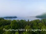 Foggy atmosphere at the lake