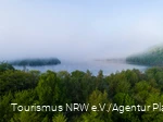 Foggy atmosphere at the lake