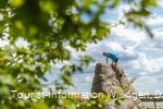 kind-kletterstein-ettelsberg c) david-heise-tourist-information-willingen.jpg