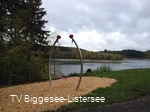 Bewegungsmeile an dem Biggesee 14
