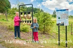 Kuhglockenspiel auf dem Milch-Erlebnispfad Usseln