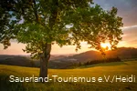 Sunset over Sauerland landscape in spring.