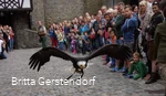 Greifvogelschau Burg Altena2_Foto Britta Gerstendorf.jpg