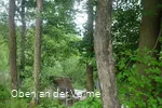 Die etwas verstecke Sagenbank