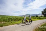 A pair of cyclists ride along the cycle path through green fields.