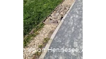 Barfusspfad Hennesee Kiesel