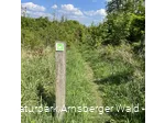 Naturpfad Sauerland-Waldroute