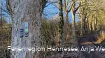 Wegezeichen BestwegNuttlar KW Waldroute