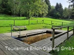 Tretbecken Assinghausen