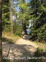 Naturerlebnispfad Hohe Bracht
