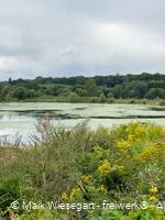 Menden Oeseteiche