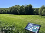 Veischeder Bilderbuchpfad_Wiese
