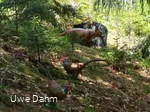 Figuren Bogenparcours