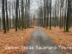 Forstweg