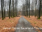 Forstweg