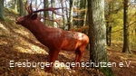 Bogenparcours Marsberg