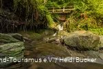 The 4.1-kilometer gorge and bridge trail in Winterberg is a real highlight.